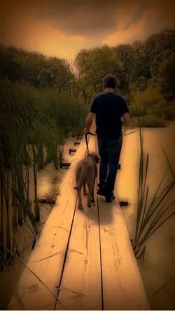 Four paws