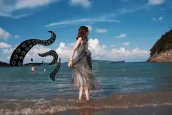 Trend video