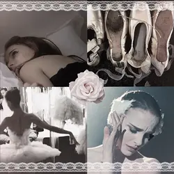 balletcore moodboard