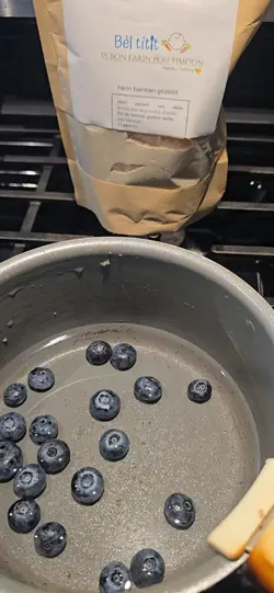 lest make baby food