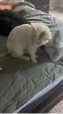 Mi bebé