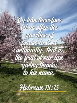 Bible verse