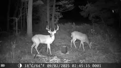 Deer Hunting edit