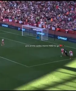 Sadioooo