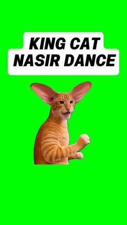 KING NASIR CAT DANCE