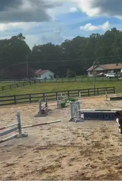 jumped aroundd!! -j
