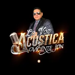 Vicente Jdn 