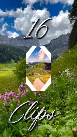 16 Videos Or Photos 