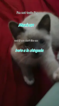 Mexican 