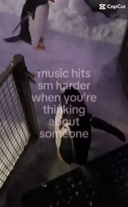 🤷🏼♀️