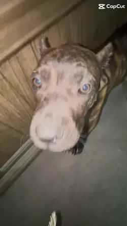 Edgars🇲🇽🙈