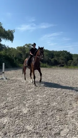 mb tuscany 😔 ✌️ 🥺