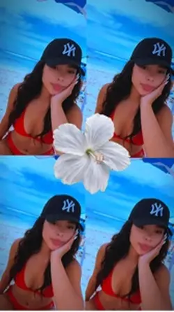 Foto flor 
