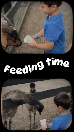 Farm life 
