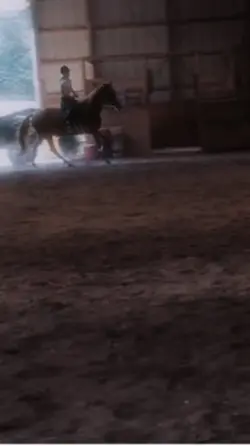 Horse, edit