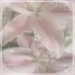 ᴘɪɴᴋ ʟɪʟʟɪᴇs ♡