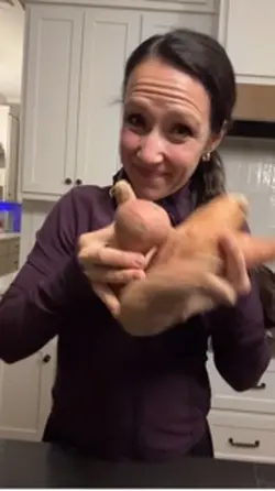 Recipes