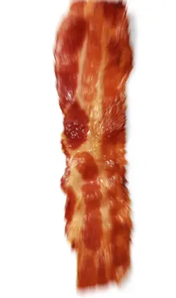 The crispy baco