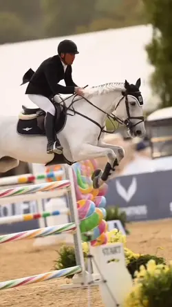 i need this horse