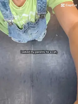 pet