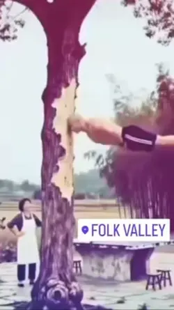 Folk valley