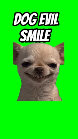 Dog evil smile