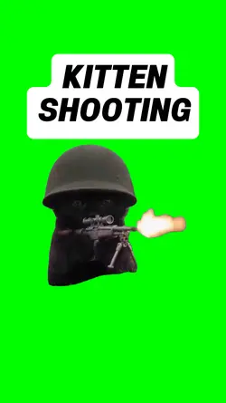 KITTEN SHOOTIN
