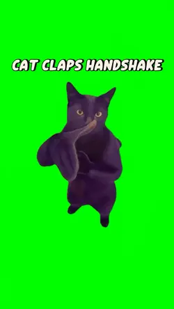 CLAP HANDSHAKE CAT