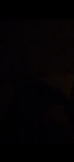 Bts