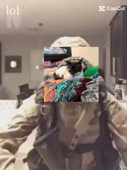 bro
xgggcg 
fgxbbx
x