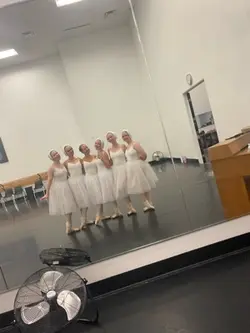 swan lake 🦢