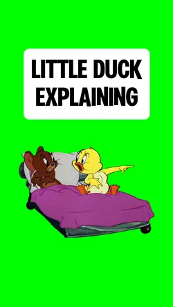 LITTLE DUCK EXPLAIN