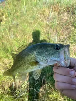 Fishing is grea