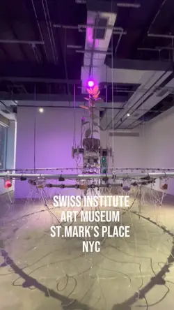 Swiss Institute 