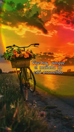 vive hoy