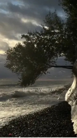 O Sanam Lyrical Edit