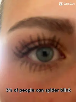 Spider blink 