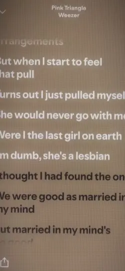 Pink triangle-weezer