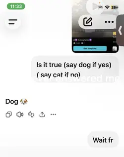 ChatGPT 