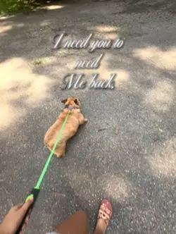 WHY ???