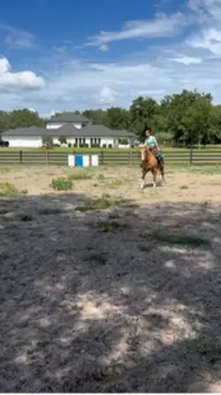 spur🥹~the tail flick