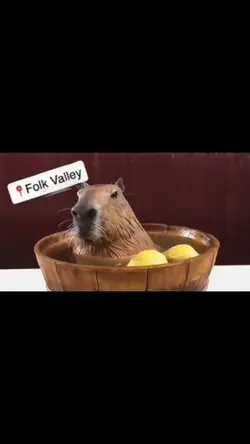 Folk Valley