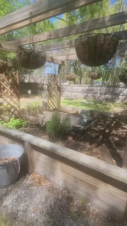 business card video