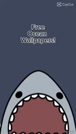 Ocean