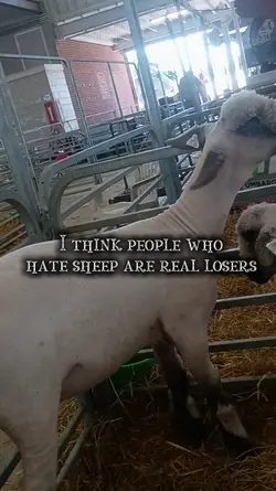 real losers