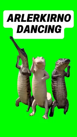 ARLERKIRNO DANCING 
