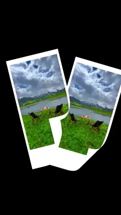 #New #template #song