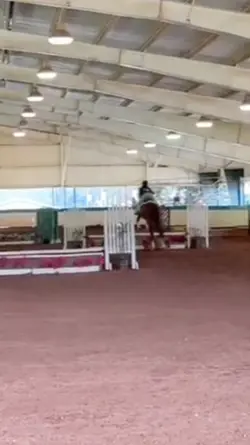 Holy jump! 👏⭐️