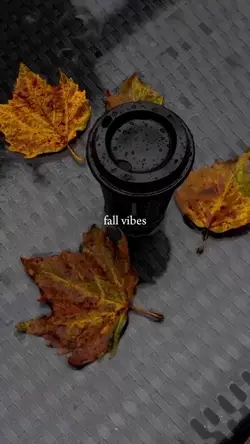 Season vibes