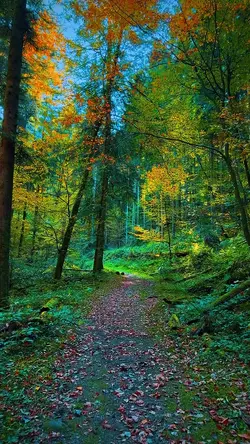 Nature